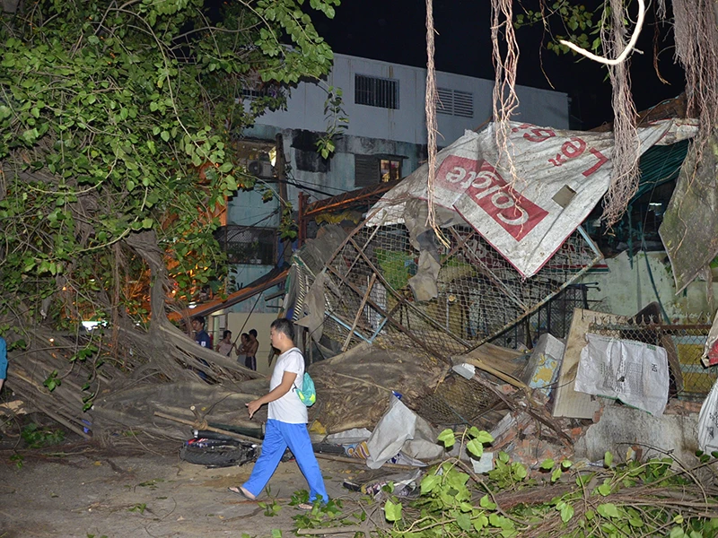 Cây bồ đề lớn đổ sập trong đêm đè trúng một xe máy và ô tô khiến người dân gặp một phen hoảng hốt 